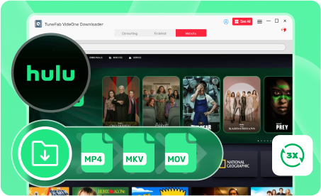 Hulu Downloader in VideOne