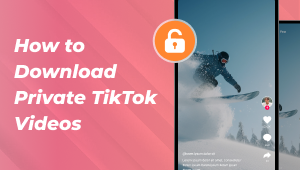 How to Download Private TikTok Videos