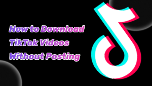 How to Download TikTok Videos Without Posting