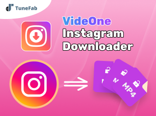 Instagram Video Downloader