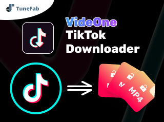 TikTok Video Downloader