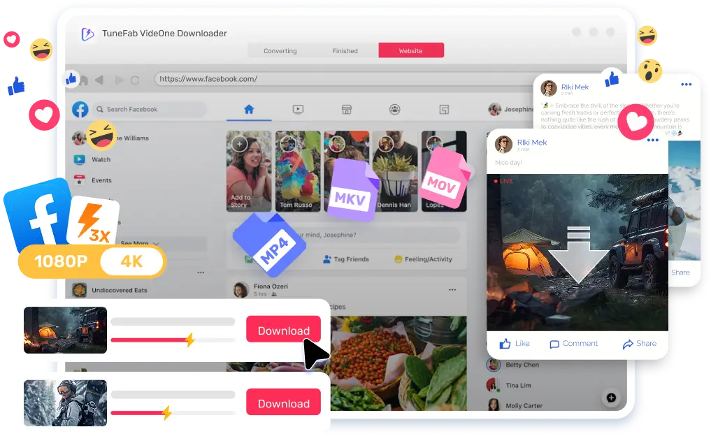TuneFab VideOne Facebook Downloader Hero Image