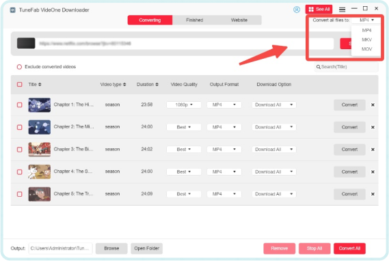 Set Output Format for Disney Plus Downloads