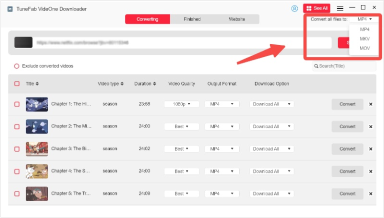 Select Output Format for Max Videos