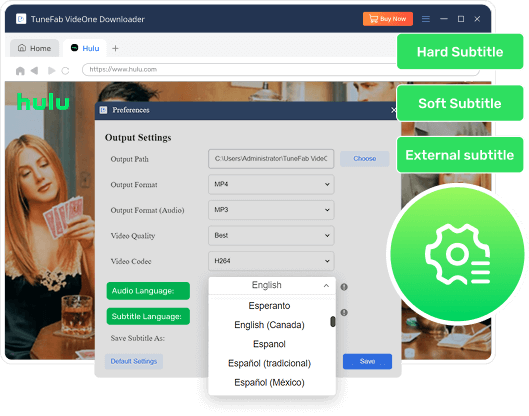 Customize Audio and Subtitle Settings in VideOne