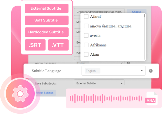 Customize Audio and Subtitle Settings