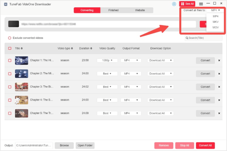 Select Output Format for All Netflix Videos