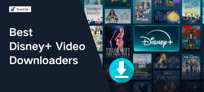 Best Disney Plus Video Downloaders Review