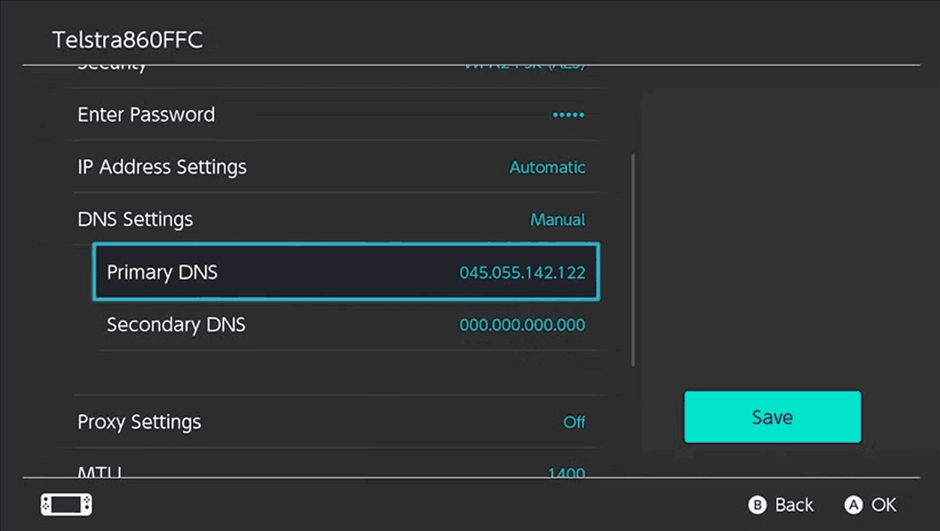 Change DNS on Switch