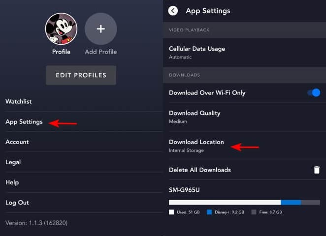 Change Download Location on Disney Plus App