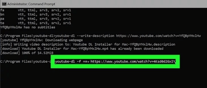 Convert YouTube to MKV with YouTube-dl