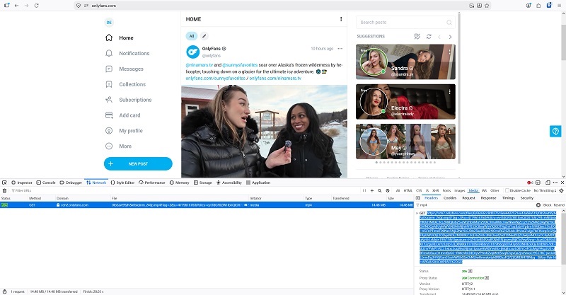 Copy the Request URL via Developer Tool