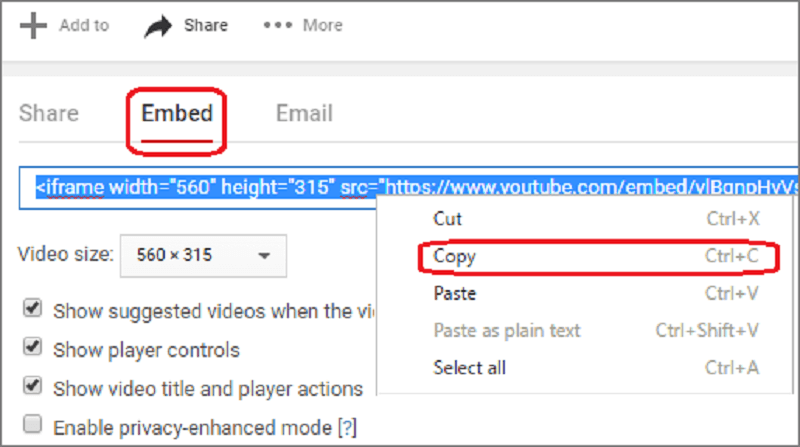 Copy YouTube Embed Code