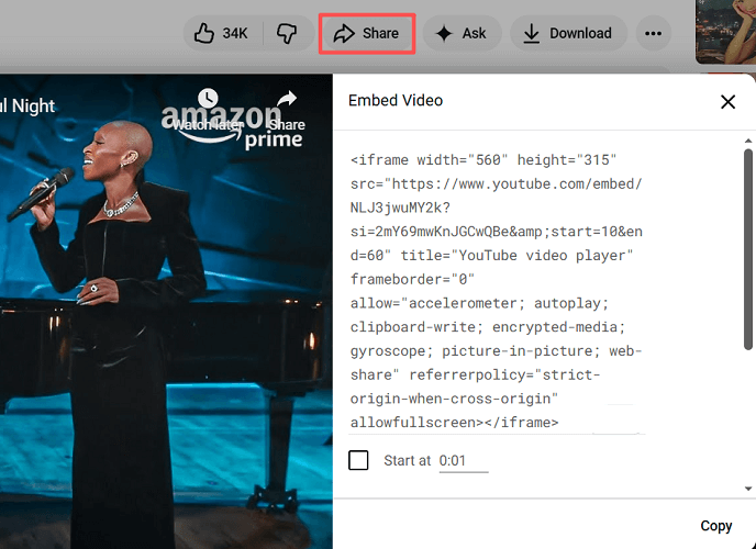 Copy YouTube Embed Code