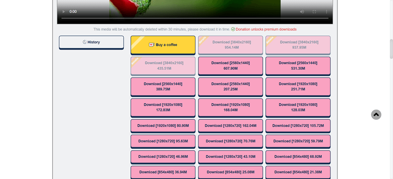 How to Download 4K Videos from YouTube Online