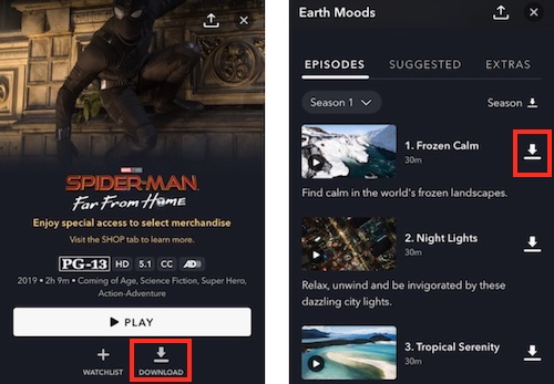 Download Disney Plus Video in App