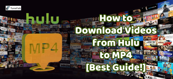 How to Download Hulu to MP4