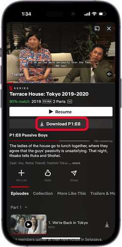 Download Netflix Video in App