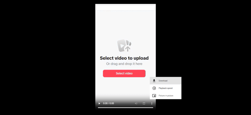 Download Private TikTok Videos on PC