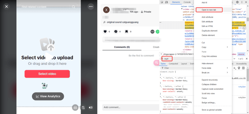 Use Inspect Element to Find MP4 TikTok Private Video