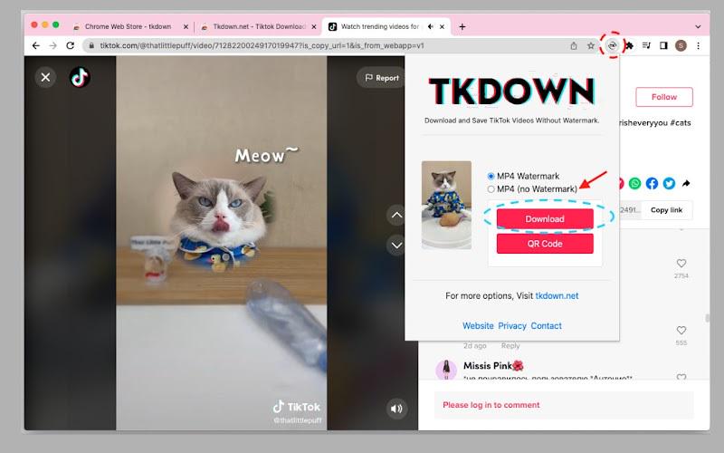 Download TikTok Videos to PC via Browser Extension