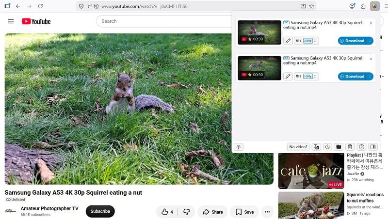 Download Unlisted YouTube Videos with Video DownloadHelper