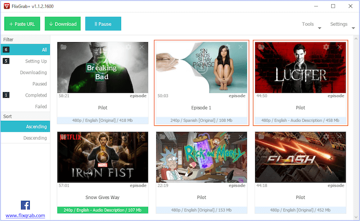 Main Interface of FlixGrab+