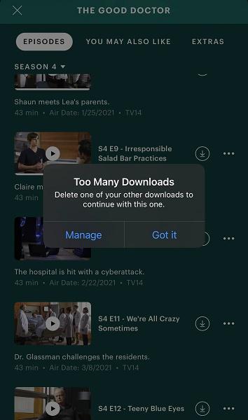 Hulu Says 'Too Many Downloads'