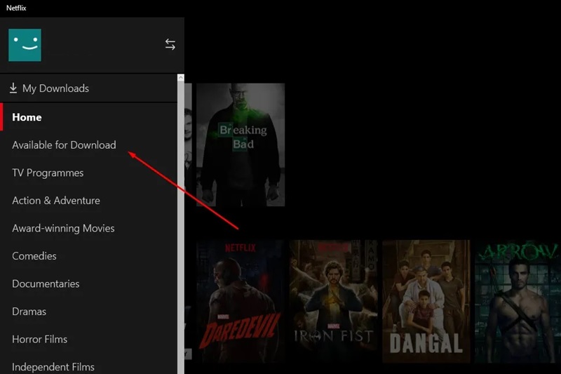 Netflix Available for Download