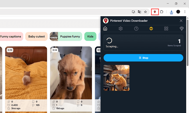 Download Pinterest videos with a Chrome Extension