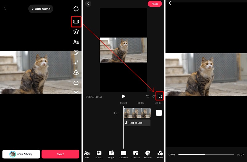 Preview TikTok Video in Full Screen