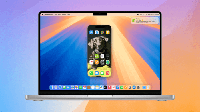 Screen Mirror iPhone to Play Netflix on Mac