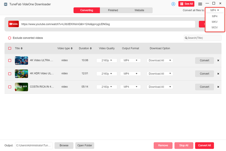 Choose MKV as the Output Format