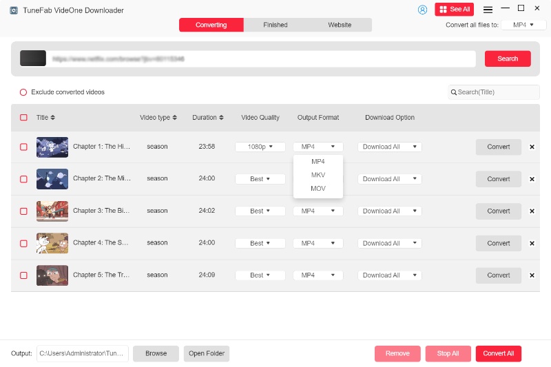 Select Netflix Output Format