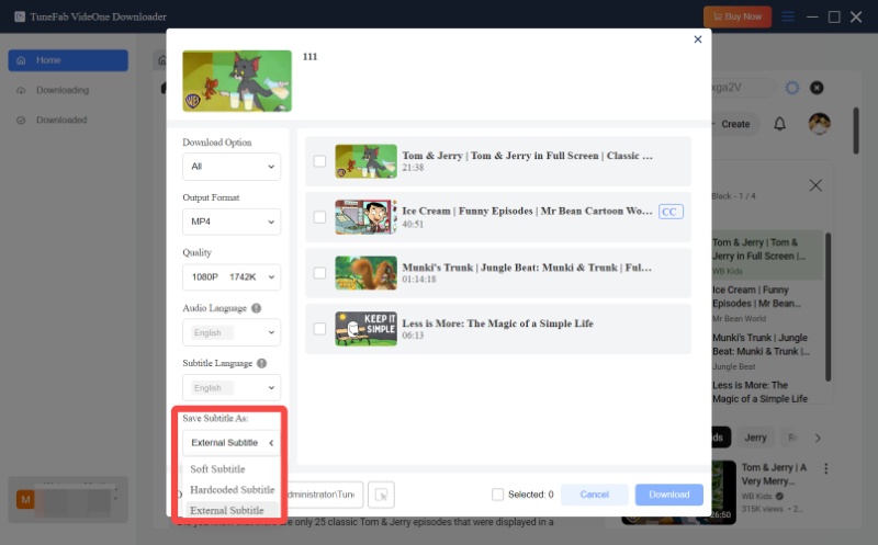 Select Subtitle Type in Preferences